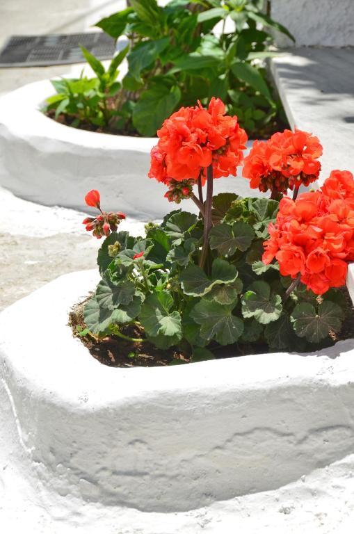 Blue Sky Aparthotel Naxos City Quarto foto